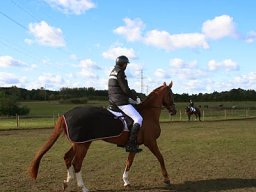 IMG_4208-021-redigeret